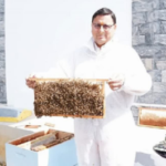 ऑर्गेनिक हनी हब बनने की तैयारी में उत्तराखंड, सरकार ला रही बी-कीपिंग नीति..