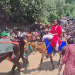 केदारनाथ यात्रा 2026 की तैयारी तेज, 26 फरवरी से घोड़ा-खच्चरों का रजिस्ट्रेशन ड्राइव..