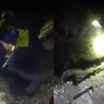 केदारनाथ रूट पर जंगल में भटका 62 वर्षीय यात्री, SDRF ने रात में खोज निकाला..