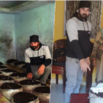 कम लागत में ज्यादा मुनाफा, चमोली जिला के किसानों ने अपनाई मशरूम खेती..