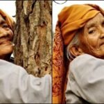 लंदन इंडियन फ़िल्म फ़ेस्टिवल में गूंजेगी उत्तराखंड की आवाज़, चिपको आंदोलन पर बनी फिल्म का चयन
