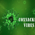उत्तरकाशी में 8 बच्चे कॉक्ससैकी वायरस की चपेट में, स्वास्थ्य विभाग अलर्ट..